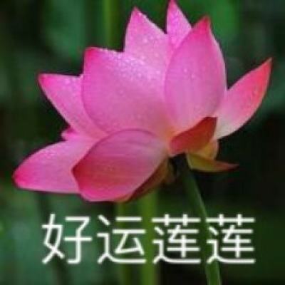 联合国秘书长用中文说“春节快乐”